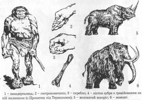 Неандерталець